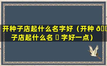 开种子店起什么名字好（开种 💐 子店起什么名 ☘ 字好一点）